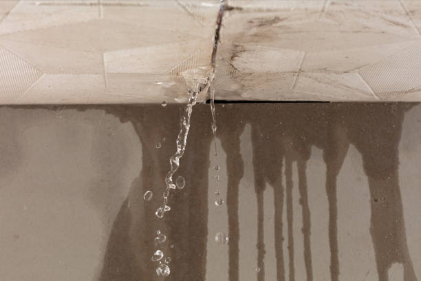 Professional Flood Damage Cleanup technician working in Dutton, AL